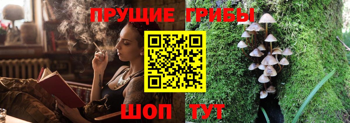 Псилоцибиновые грибы мицелий Элиста
