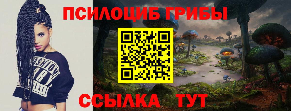 Элиста  Галлюциногенные грибы мухоморы  Вход с VPN  Галлюциногенные грибы прущие грибы 